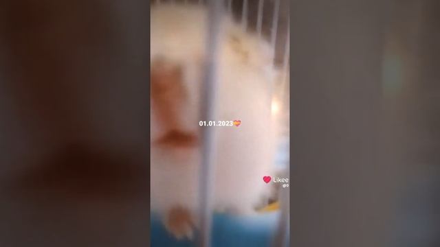 эх... смотреть онлайн