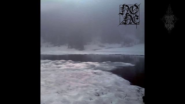 None - None [Full Album]