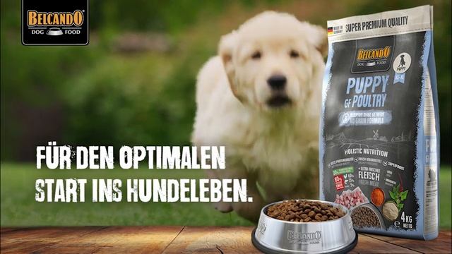 Welpenfutter von BELCANDO® - für den optimalen Start ins Leben смотреть онлайн