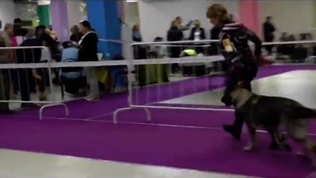 Арсиноя смотреть онлайн