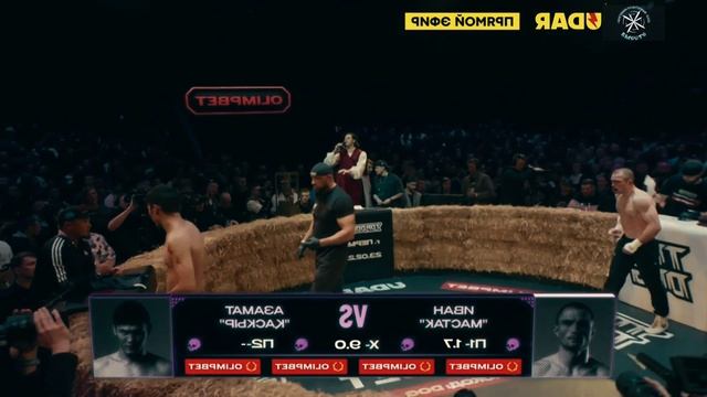 ОбЗор и ОтЗыв о СоРевновании Каскыр - Мастак в Top Dog 33 и Лучший Пёс 33. СКК "Вместе".mp4 смотреть онлайн