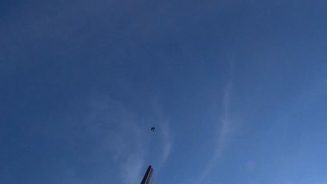 по перу вяхирь .перпел. смотреть онлайн