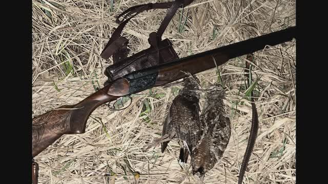 Первый выход на охоту с ТОЗ - 34ЕР, я с трофеями в 2024г. смотреть онлайн