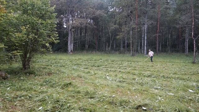Estonia смотреть онлайн