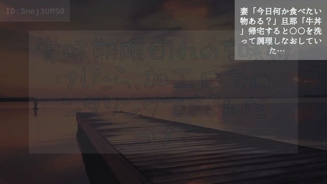 【2ch】妻「今日何か食べたい物ある？」旦那「牛丼」帰宅すると〇〇を洗って調理しなおしていた…😲【まとめ】 смотреть онлайн