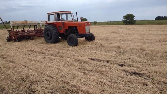 Sembrando Soja de 2da sobre ryegrass. Fiat 700E con sembradora Lezcano de 9 a 52,5cm смотреть онлайн