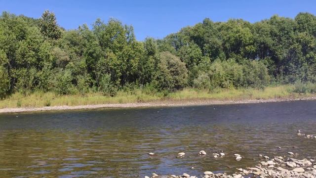 НУ КАКОВА КРАСОТА смотреть онлайн