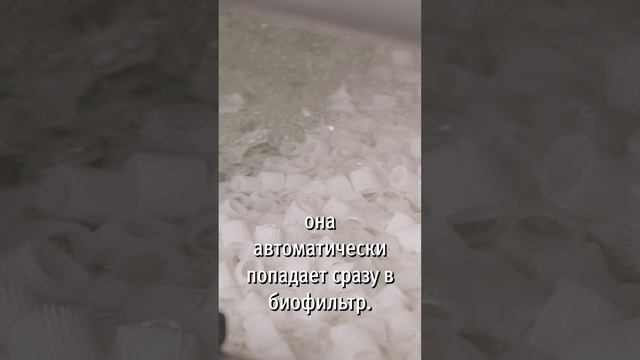 Новая линия УЗВ s2 смотреть онлайн
