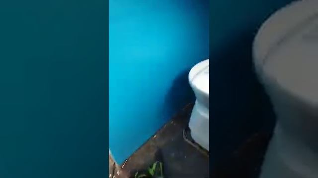 биотуалет в Автодом смотреть онлайн