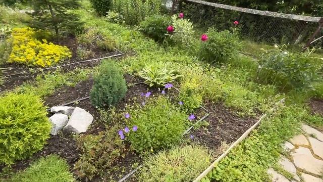 День 6 отпуска на даче. Муж все сделал и уехал! Чем занимались? смотреть онлайн