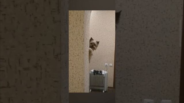 Ку-ку смотреть онлайн