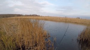 Рыбалка в Ростовской области на воблеры ручной работы 2024