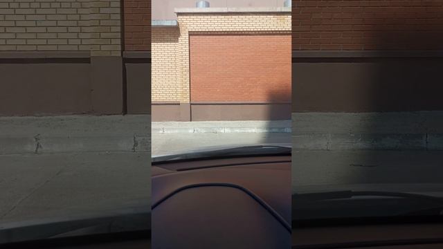 Дети РСП. что вас ждёт ч.2 смотреть онлайн