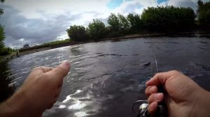 Курьяновский сброс после замора рыбы. Nano Zero Carbon