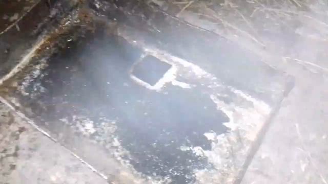 Каша для нутрії смотреть онлайн