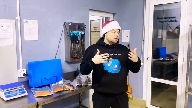 Анонс новой рубрики канала и Поздравление с Новым годом смотреть онлайн