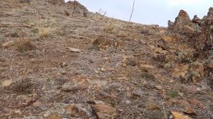 Кабк Шикор 2021