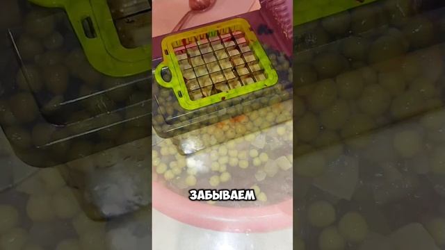 Евгений Большанин