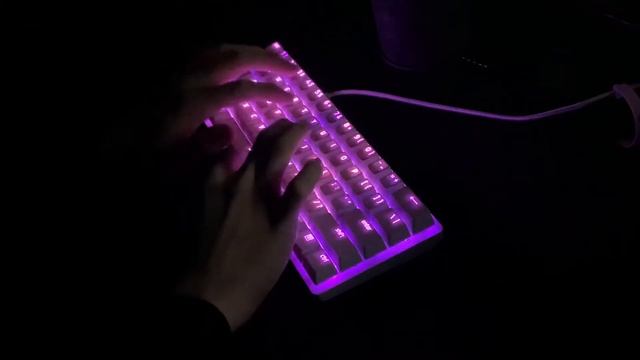 ASMR | LED Keyboard Typing (Razer Hunstman Linear Optical Switch) смотреть онлайн