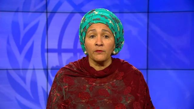 2019 NEC Amina J. Mohammed - Opening the 2019 National Evaluation Capacities Conference смотреть онлайн