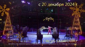 Невероятное цирковое шоу «Маска или приключения ёлочных игрушек»!  В Саратовском цирке!