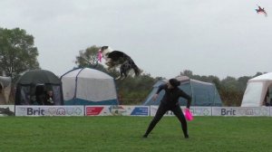 Нарезка с чемпионата европы 2024 - с примерами вольтов (опорный прыжок)