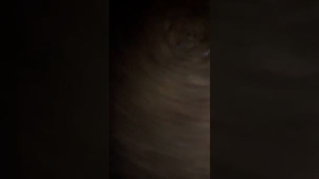 Manhunt killer clown part 2 смотреть онлайн