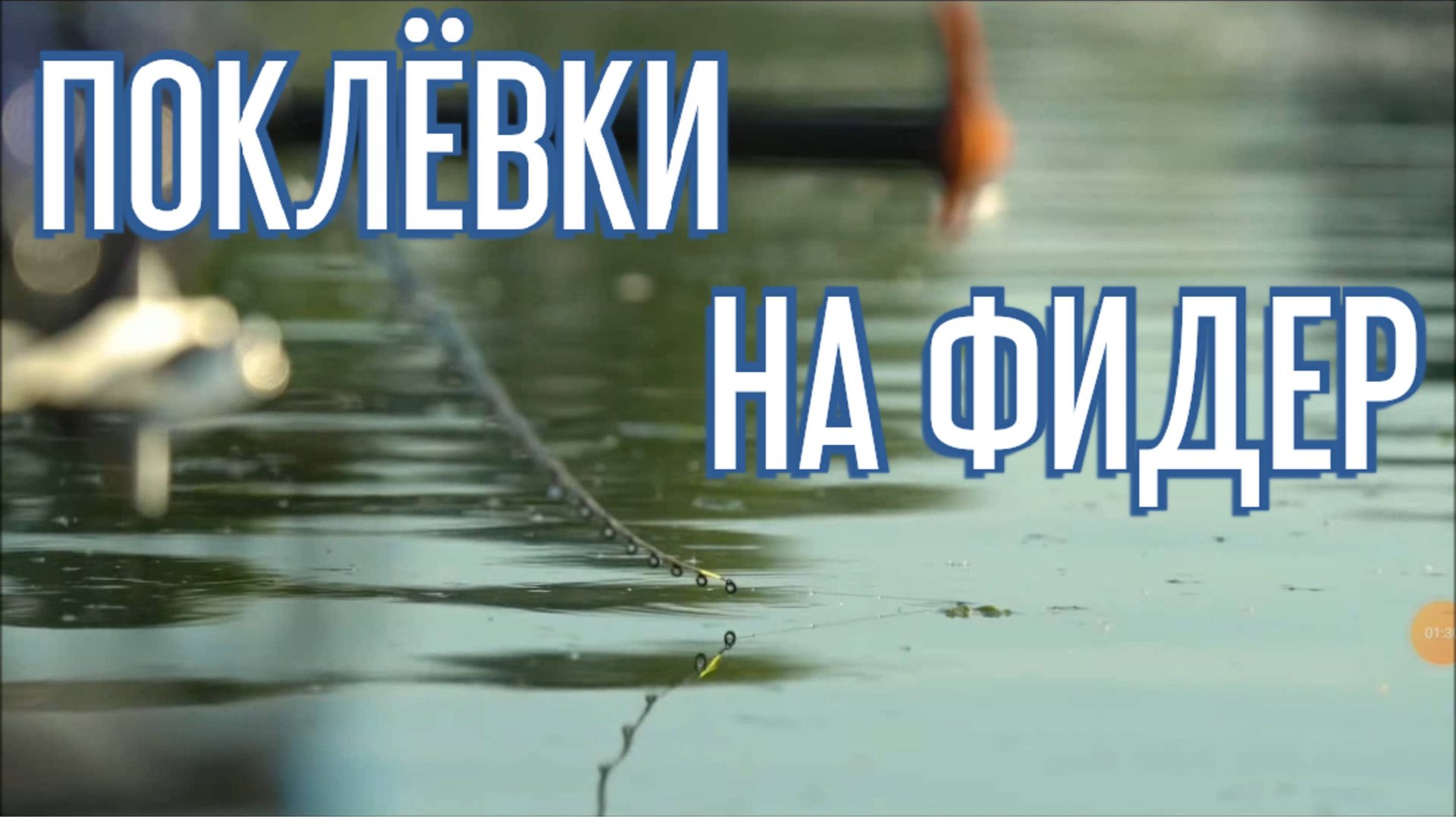 Поклевки на фидер. Красивые кадры с рыбалки смотреть онлайн
