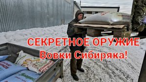 СЕКРЕТНОЕ ОРУЖИЕ ВОВКИ СИБИРЯКА!
