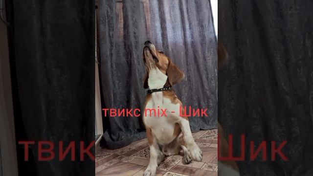твикс mix-шик смотреть онлайн