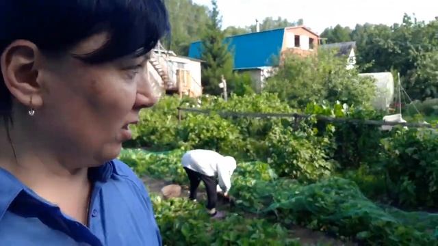 Алекс ругает себя и назвал себя тупым! Что случилось? И почему я героиня? смотреть онлайн