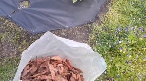Не будет сорняков! Сделай как я! Сама без мужа сделала за 1 час красивый цветник без сорняков