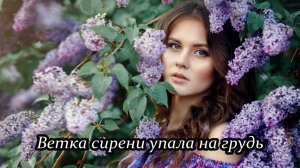 Ветка сирени упала на грудь