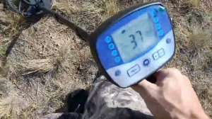 Металлоискатель T 11 С катушкой Fisher gold bag