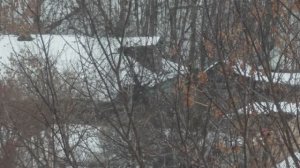 Последний дом деревни Матвеевское.