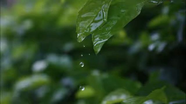 Broken Ocean смотреть онлайн