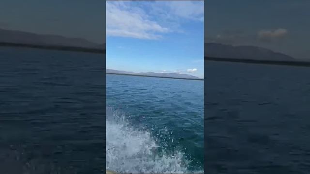 О Таймыре смотреть онлайн