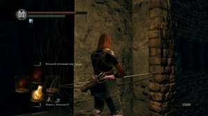 Dark Souls Remastered гайд как пройти Крепость Сена