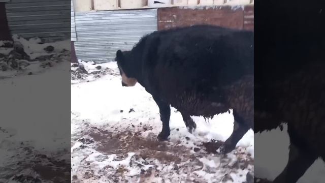 Bd473685-d857-43de-8624-97fe49127da2