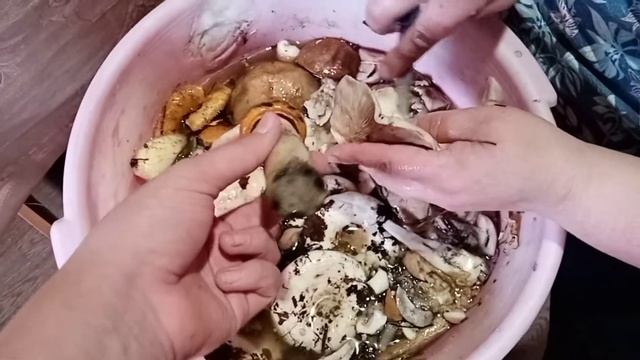 Наш первый улов смотреть онлайн