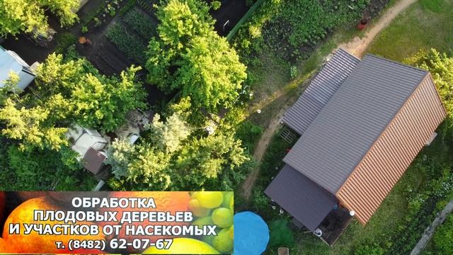 Обработка деревьев, полный спектр сан.услуг. смотреть онлайн