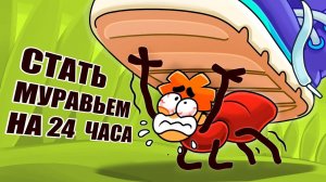 Что если ты стал муравьем на 24 часа?