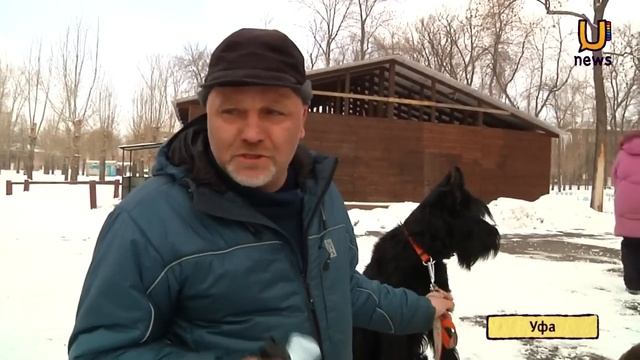 За что не любят собаководов? Особенно с приходом весны смотреть онлайн
