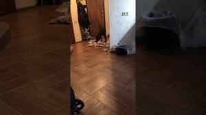 Персей растерялся и просит помочь