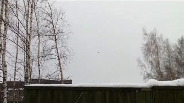 Пострелушки февраь 2013