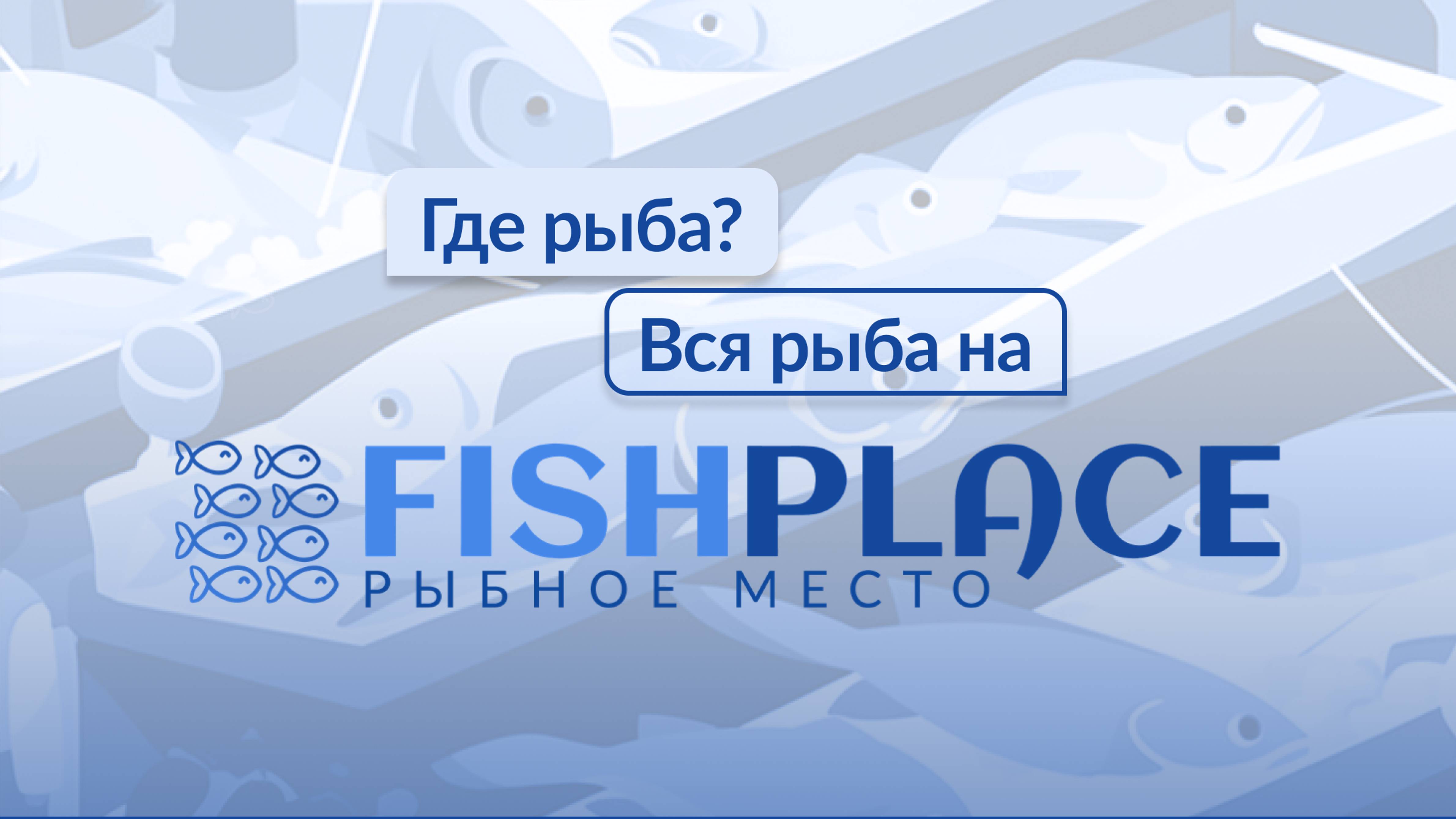 Ищем склад и оформляем заявку на хранение через цифровую платформу Fishplace.ru.