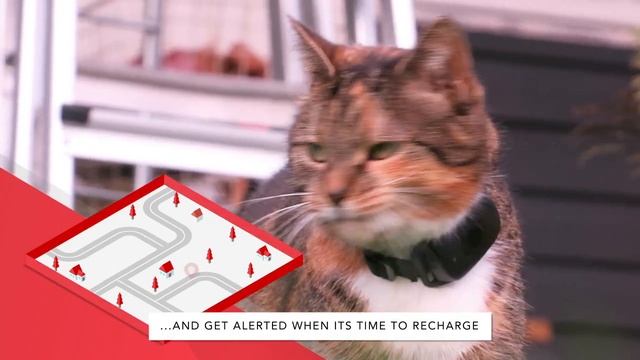 MiniFinder Atto - GPS Tracker for cats смотреть онлайн