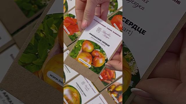 Ломаем стереотипы! смотреть онлайн