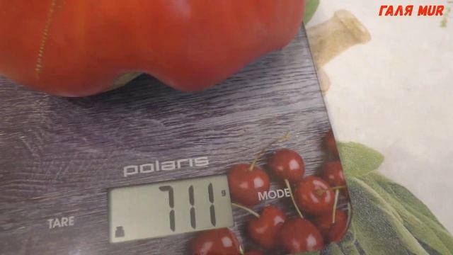 Томат МАЛИНОВЫЙ РАССВЕТ смотреть онлайн