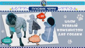 Шьем теплый комбинезон-пуховик для собак